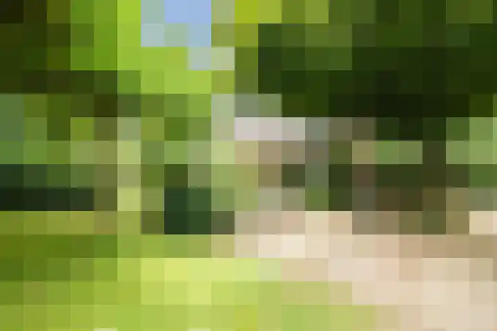 Monumentenweg 8 Hoog-Keppel thumbnail 62