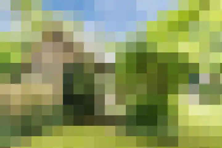 Monumentenweg 8 Hoog-Keppel thumbnail 65