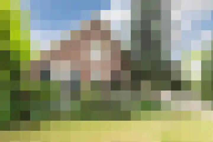 Monumentenweg 8 Hoog-Keppel thumbnail 68