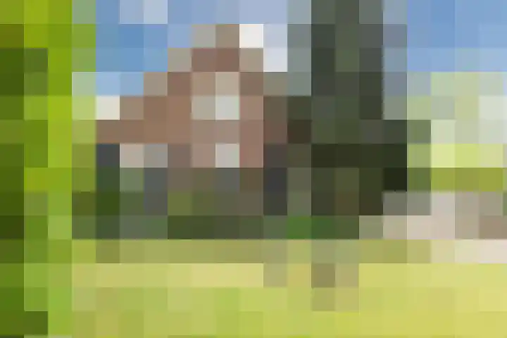 Monumentenweg 8 Hoog-Keppel thumbnail 70