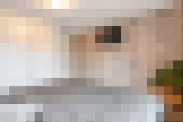 Monumentstraat 19 Raalte thumbnail 21
