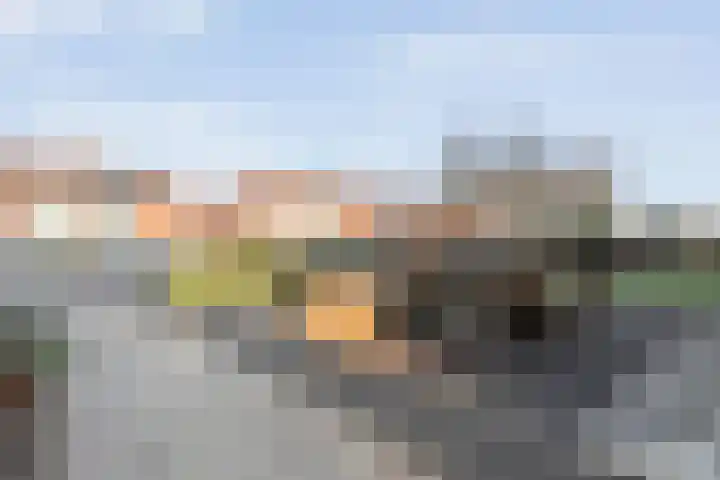Monumentstraat 19 Raalte thumbnail 39