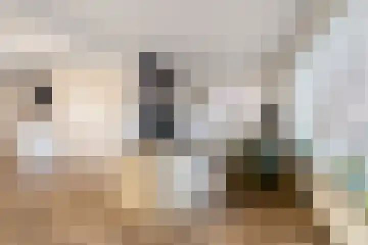Monumentstraat 19 Raalte thumbnail 9