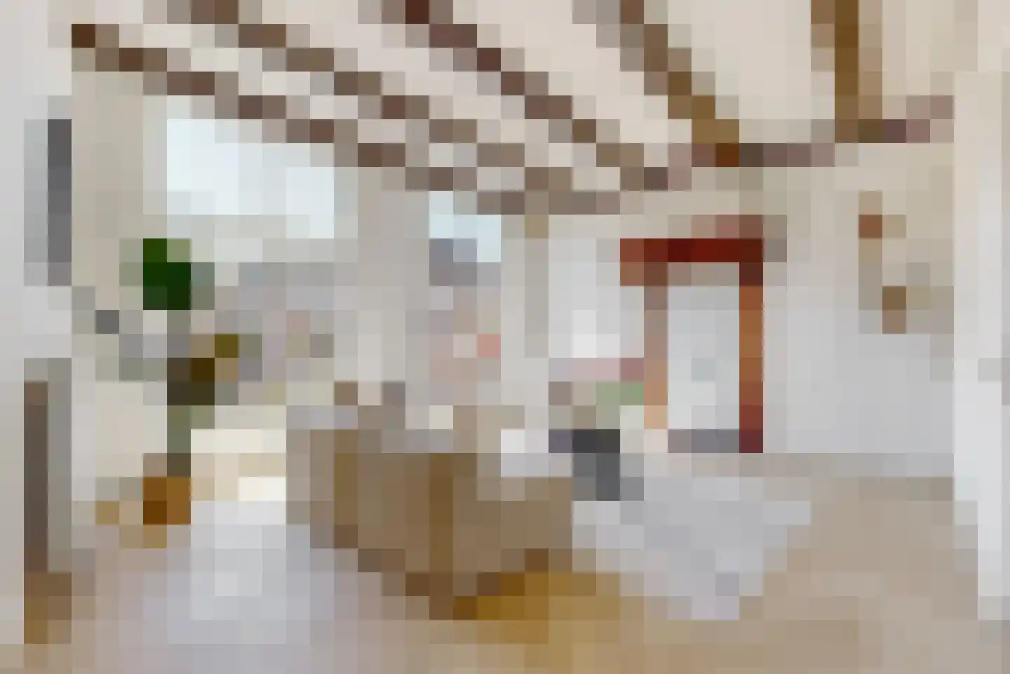Mooi Japiksteeg 4 Leiden thumbnail 19