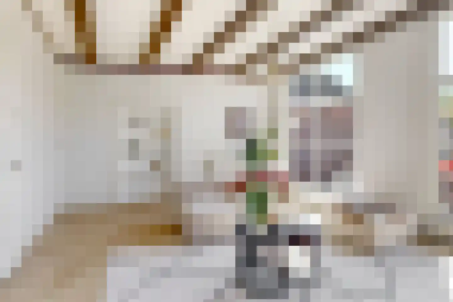 Mooi Japiksteeg 4 Leiden thumbnail 20