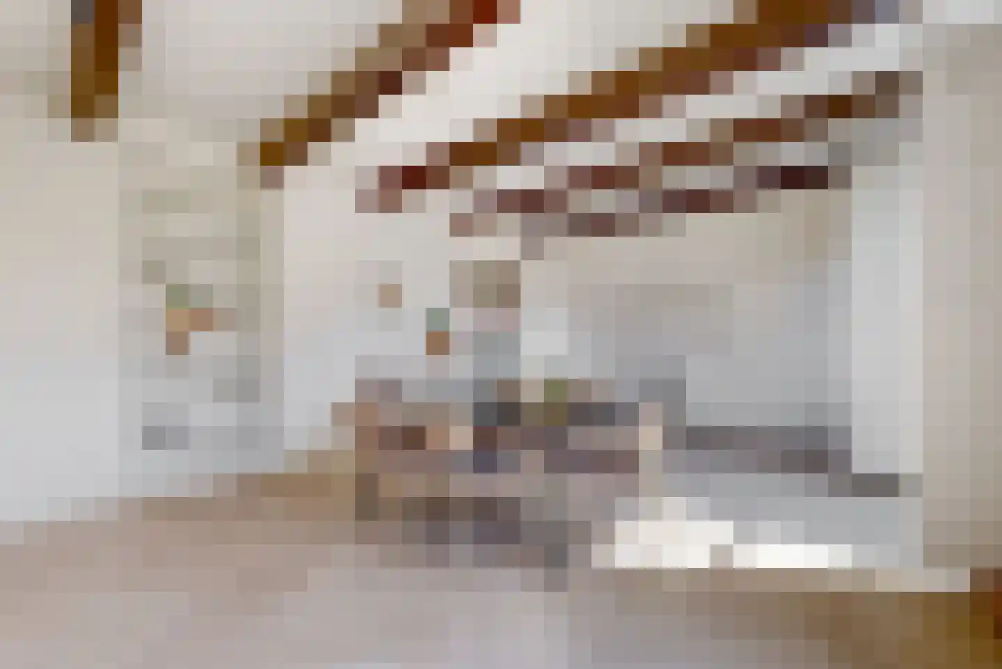 Mooi Japiksteeg 4 Leiden thumbnail 23