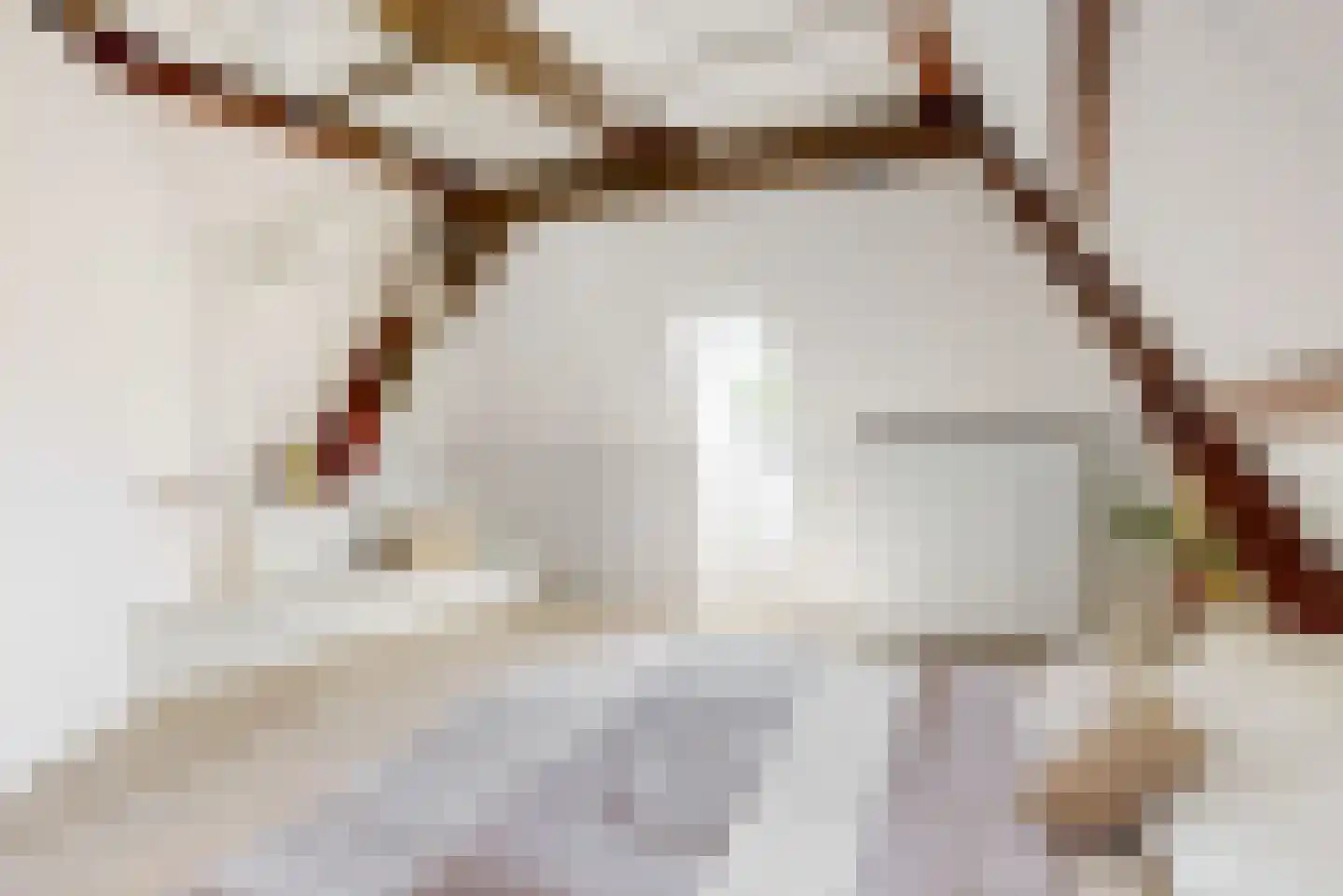 Mooi Japiksteeg 4 Leiden thumbnail 31