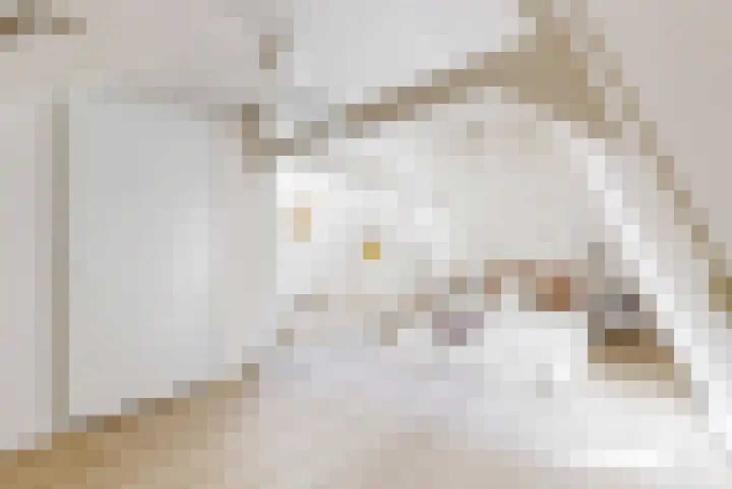 Mooi Japiksteeg 4 Leiden thumbnail 32