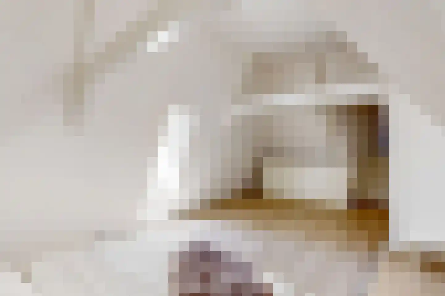 Mooi Japiksteeg 4 Leiden thumbnail 33