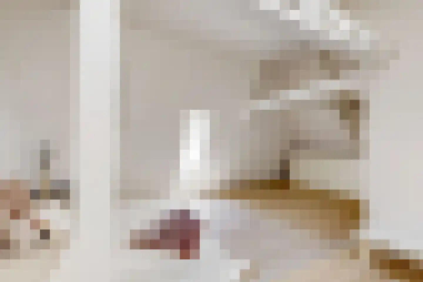 Mooi Japiksteeg 4 Leiden thumbnail 35