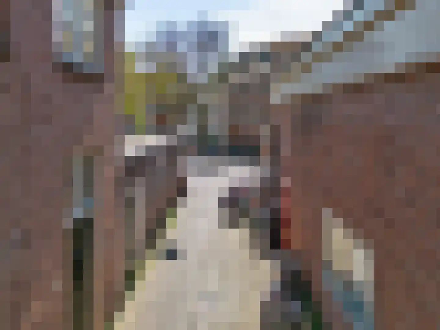 Mooi Japiksteeg 4 Leiden thumbnail 4