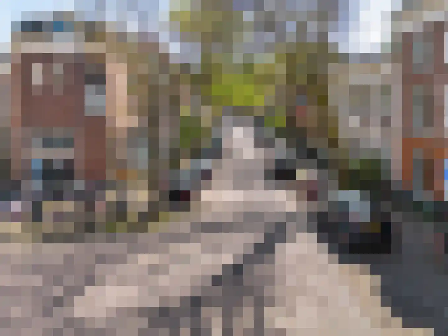 Mooi Japiksteeg 4 Leiden thumbnail 40