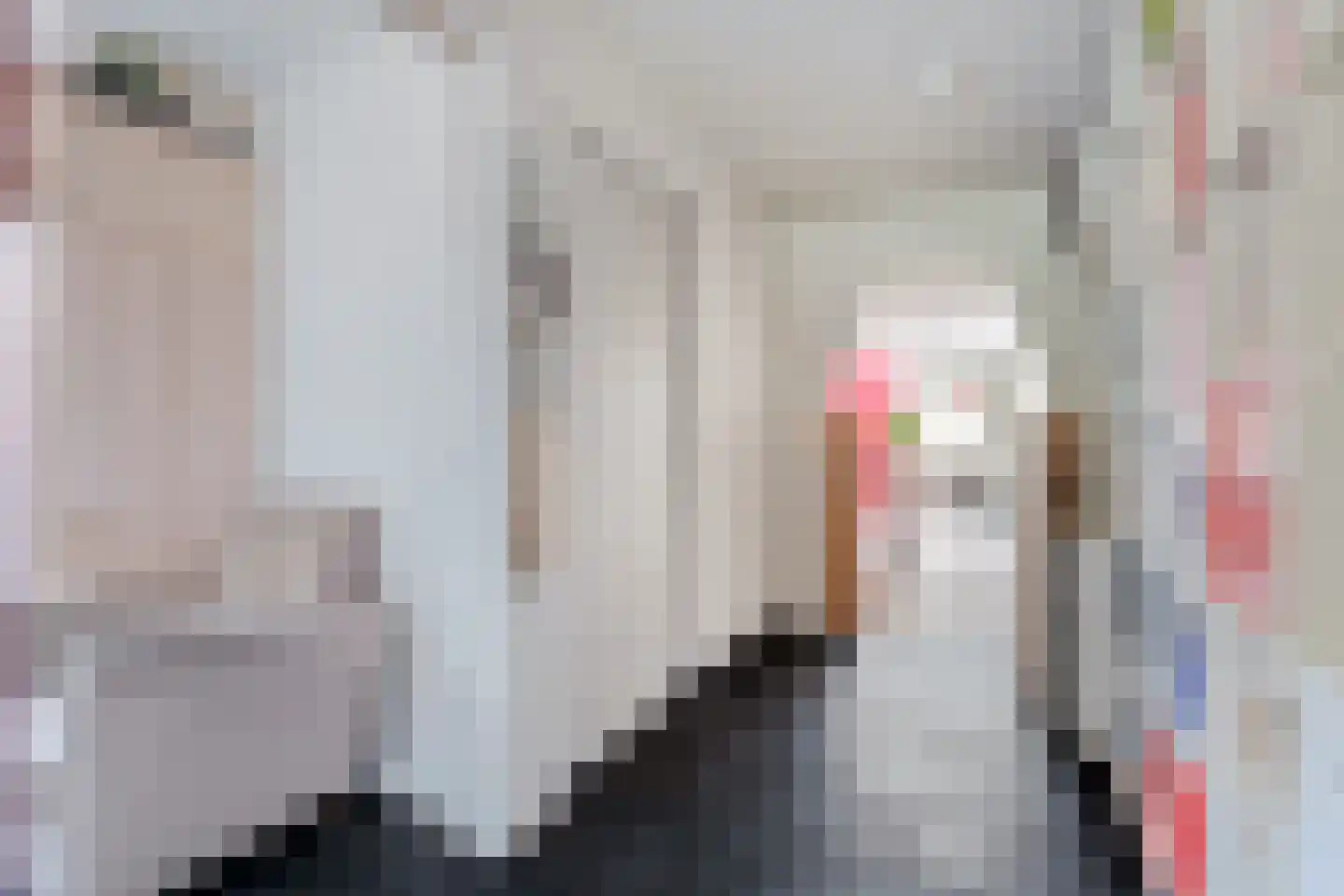Mooie Vrouwenweg 10 Almelo thumbnail 14