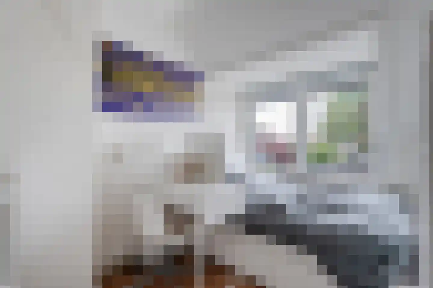 Mooie Vrouwenweg 10 Almelo thumbnail 19