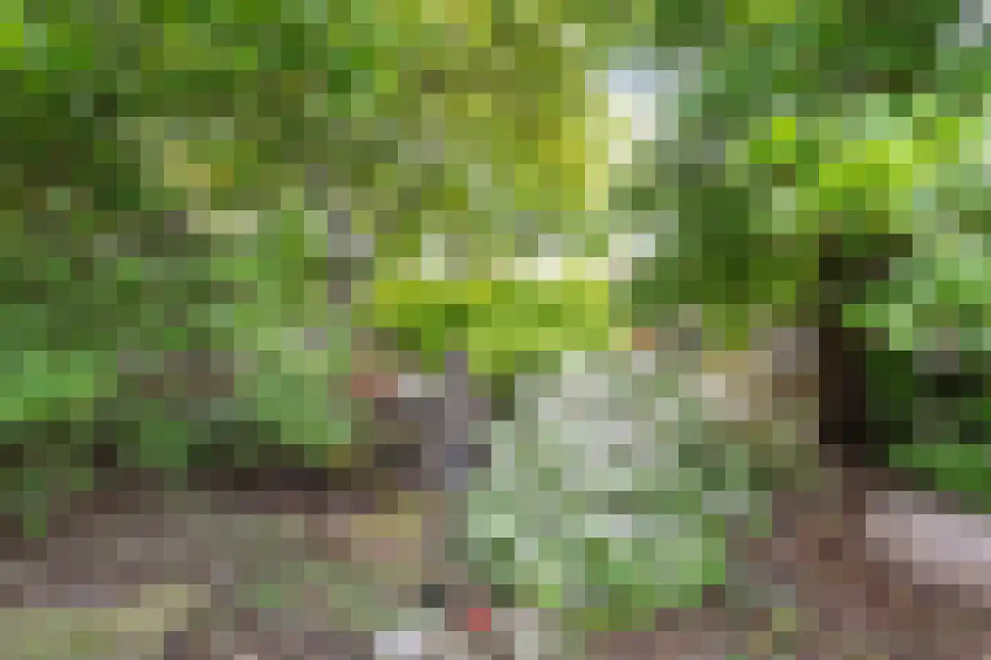 Mooie Vrouwenweg 10 Almelo thumbnail 24