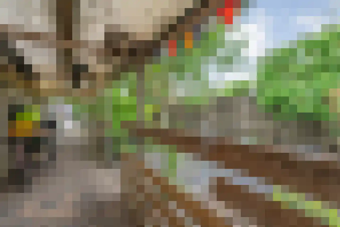 Mooie Vrouwenweg 10 Almelo thumbnail 25