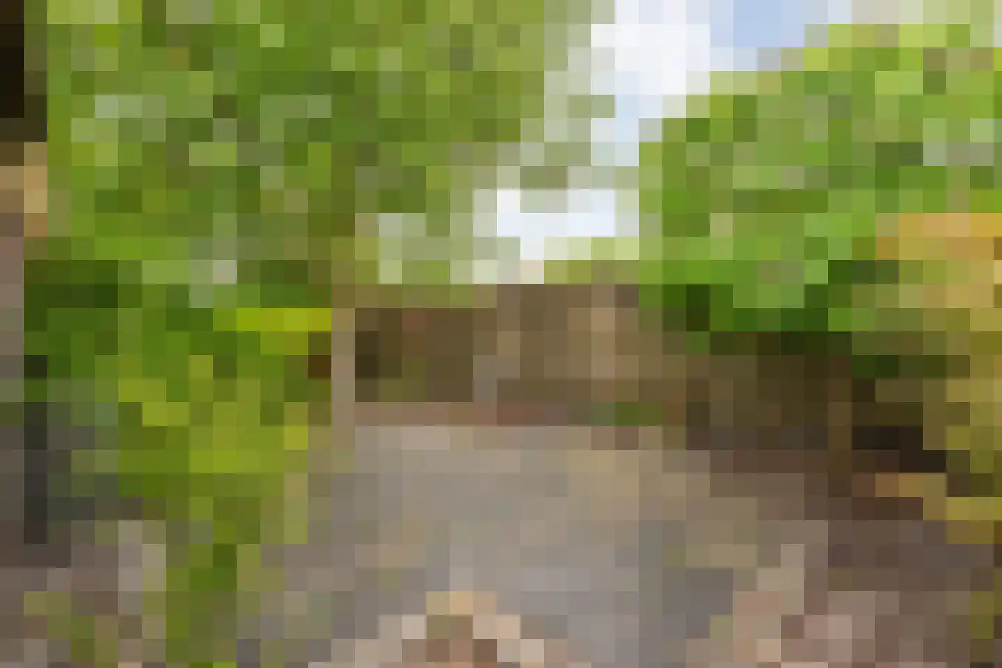 Mooie Vrouwenweg 10 Almelo thumbnail 26