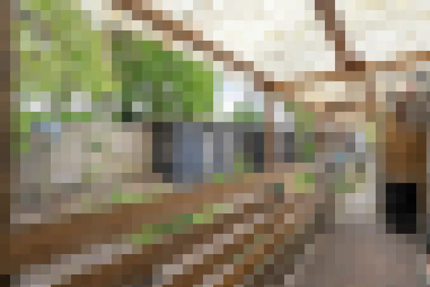 Mooie Vrouwenweg 10 Almelo thumbnail 27
