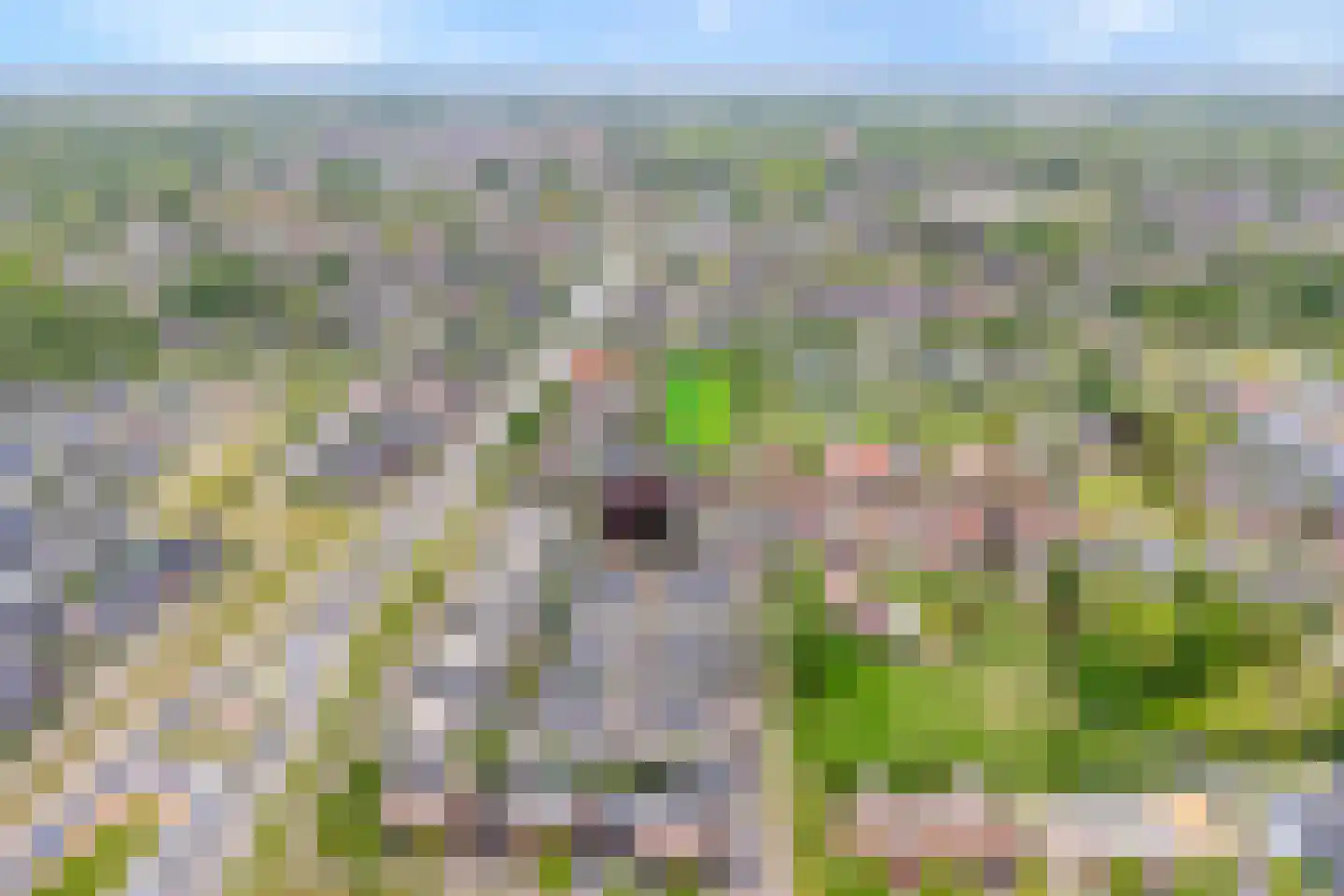 Mooie Vrouwenweg 10 Almelo thumbnail 31