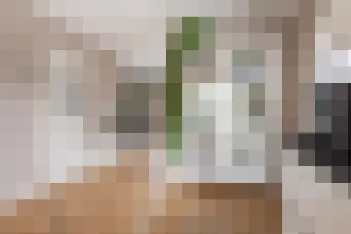 Mooie Vrouwenweg 18 Almelo thumbnail 11