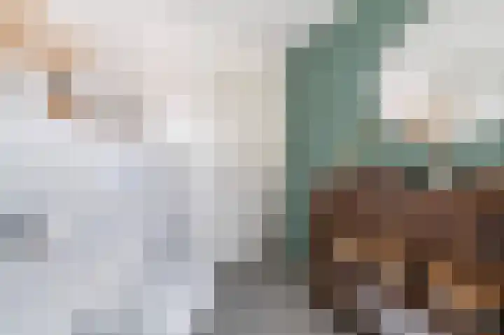 Mooie Vrouwenweg 18 Almelo thumbnail 18