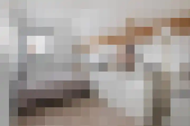 Mooie Vrouwenweg 18 Almelo thumbnail 20
