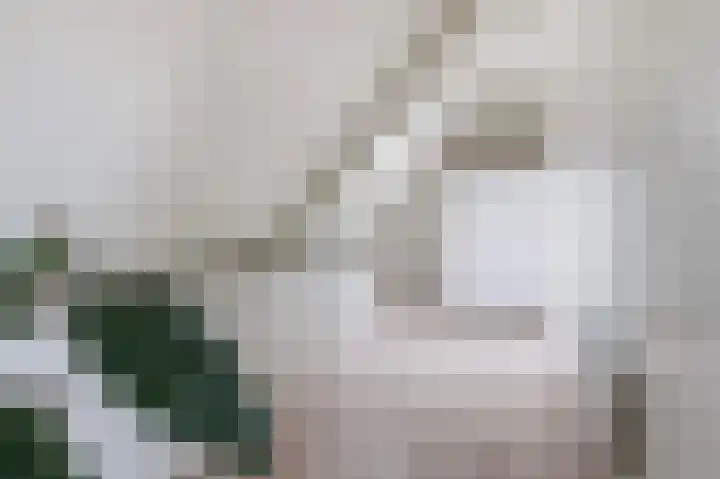 Mooie Vrouwenweg 18 Almelo thumbnail 22