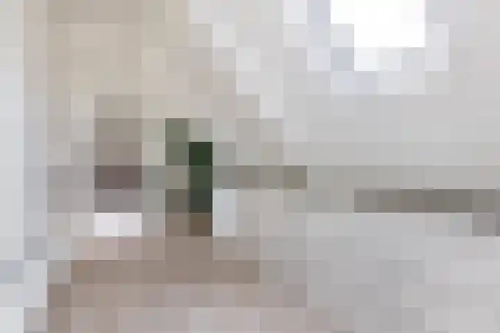 Mooie Vrouwenweg 18 Almelo thumbnail 23