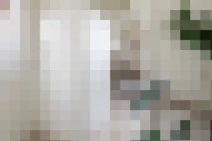 Mooie Vrouwenweg 18 Almelo thumbnail 24
