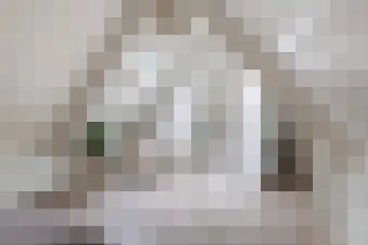 Mooie Vrouwenweg 18 Almelo thumbnail 26