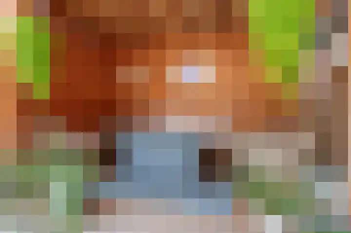 Mooie Vrouwenweg 18 Almelo thumbnail 30
