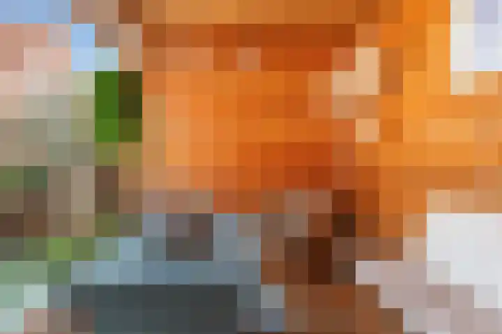 Mooie Vrouwenweg 18 Almelo thumbnail 31