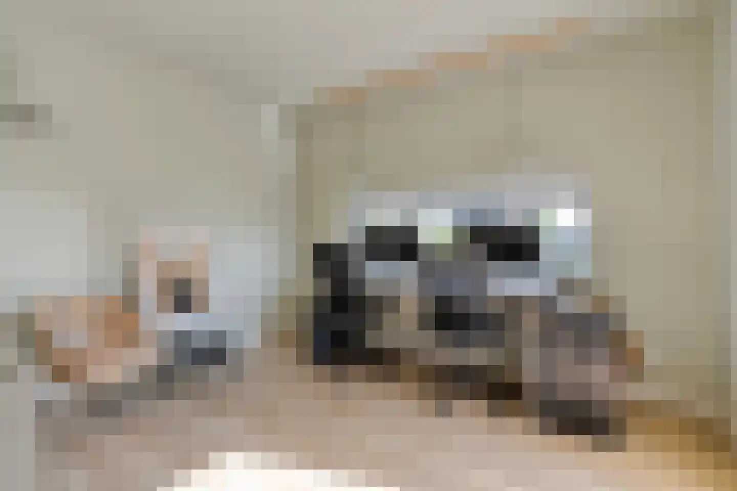Mooie Vrouwenweg 57 Almelo thumbnail 11