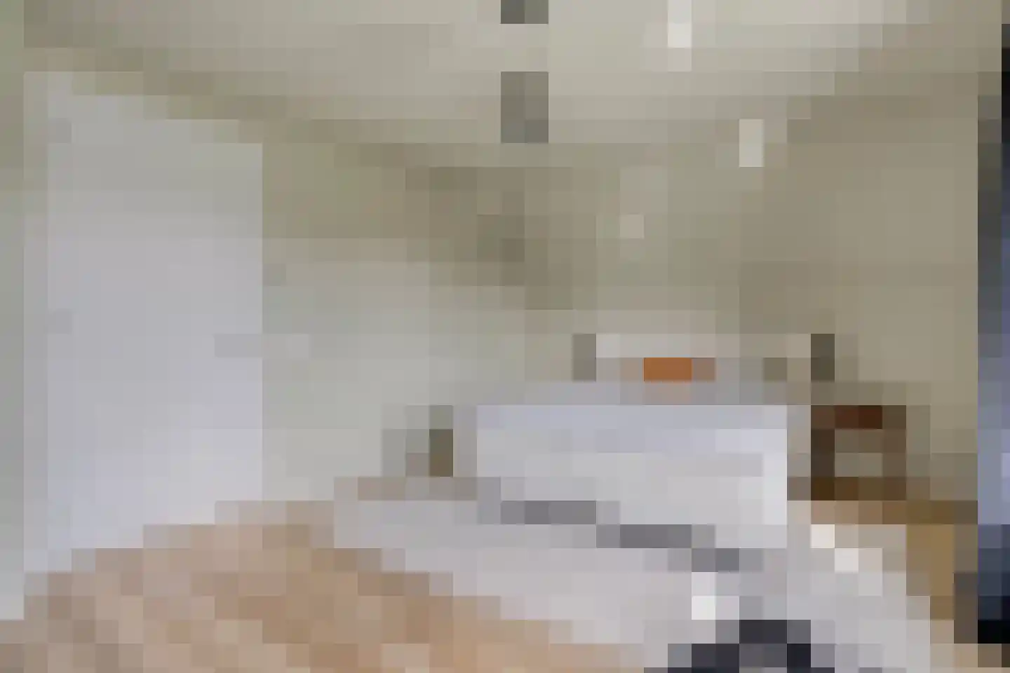 Mooie Vrouwenweg 57 Almelo thumbnail 15