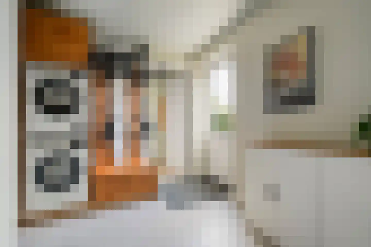 Mooie Vrouwenweg 57 Almelo thumbnail 16