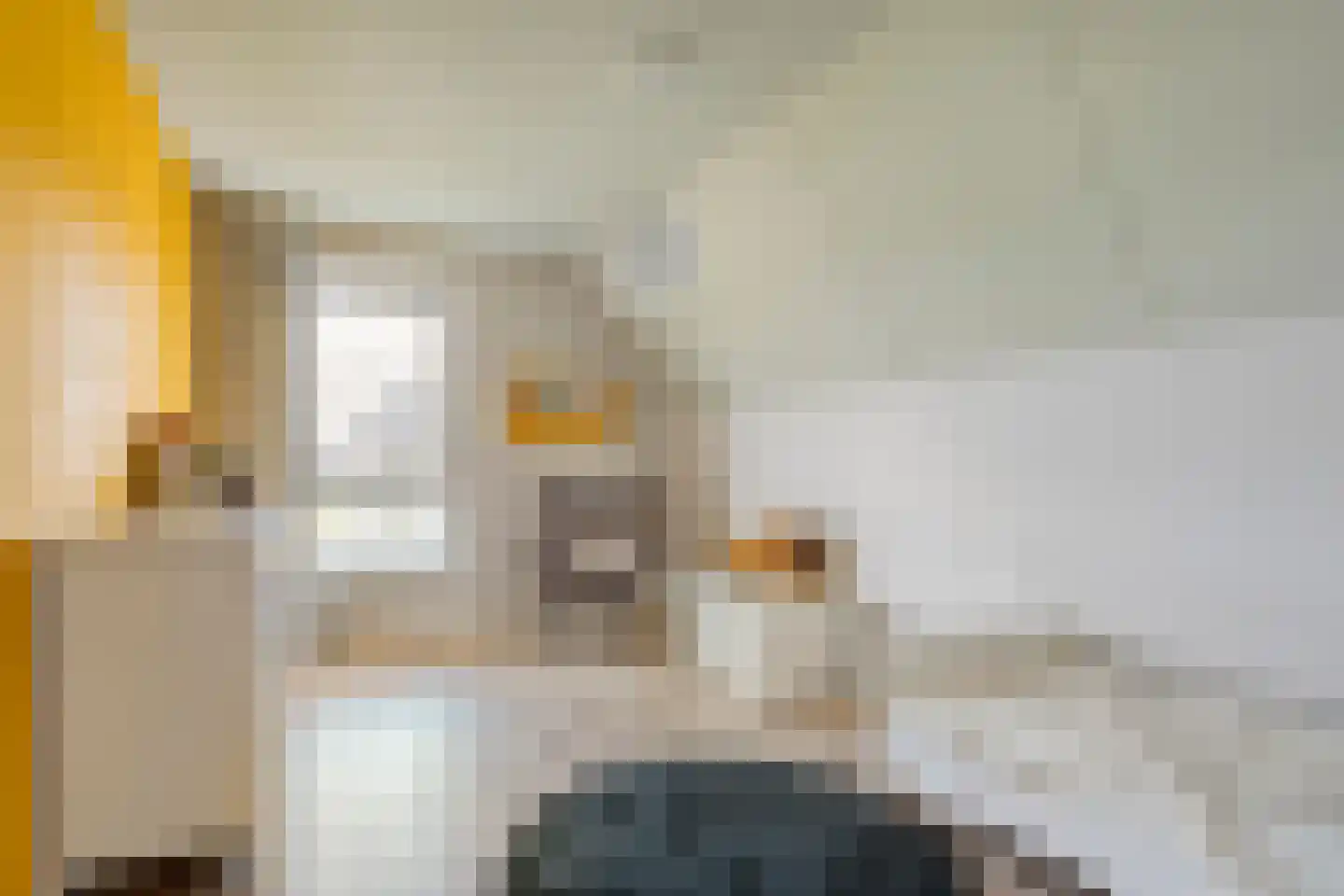 Mooie Vrouwenweg 57 Almelo thumbnail 18