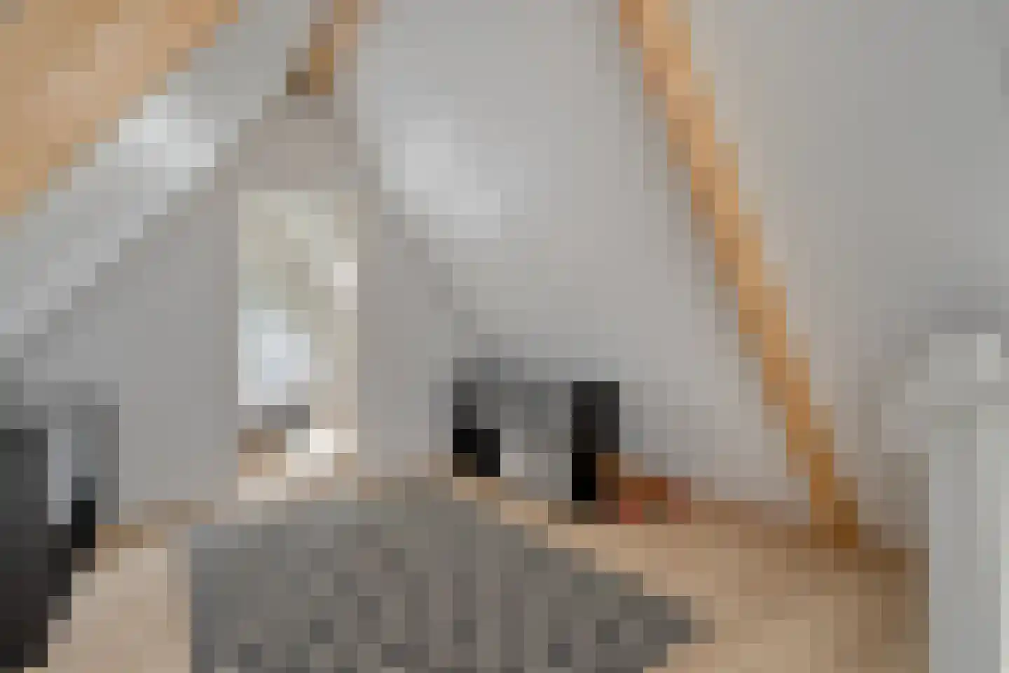 Mooie Vrouwenweg 57 Almelo thumbnail 23