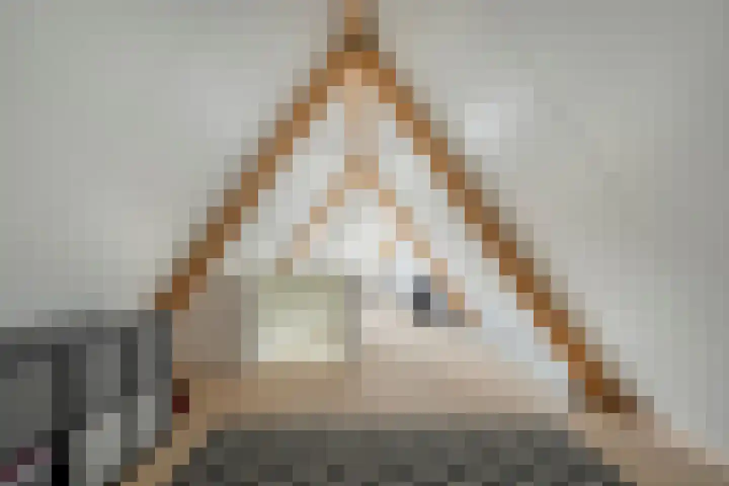 Mooie Vrouwenweg 57 Almelo thumbnail 25