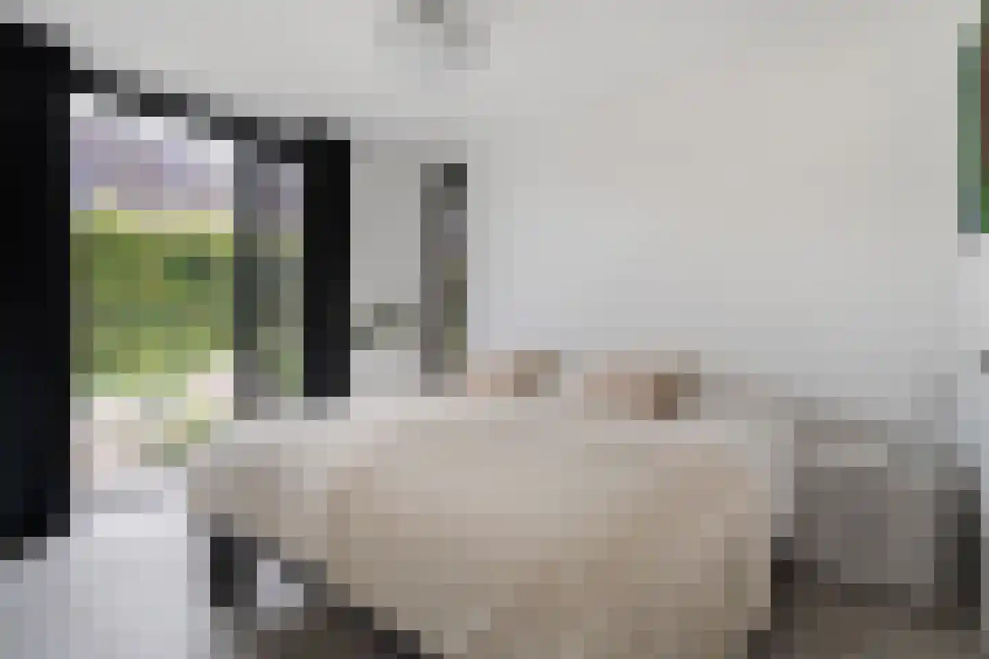 Mooie Vrouwenweg 59 Almelo thumbnail 15