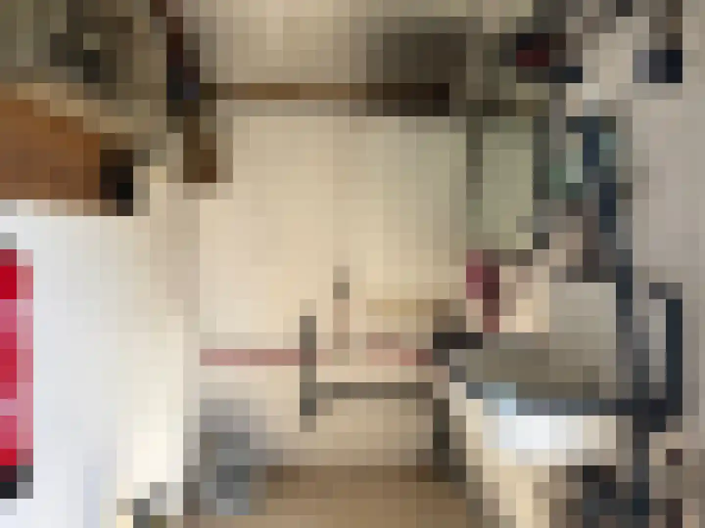 Mooie Vrouwenweg Almelo thumbnail 11