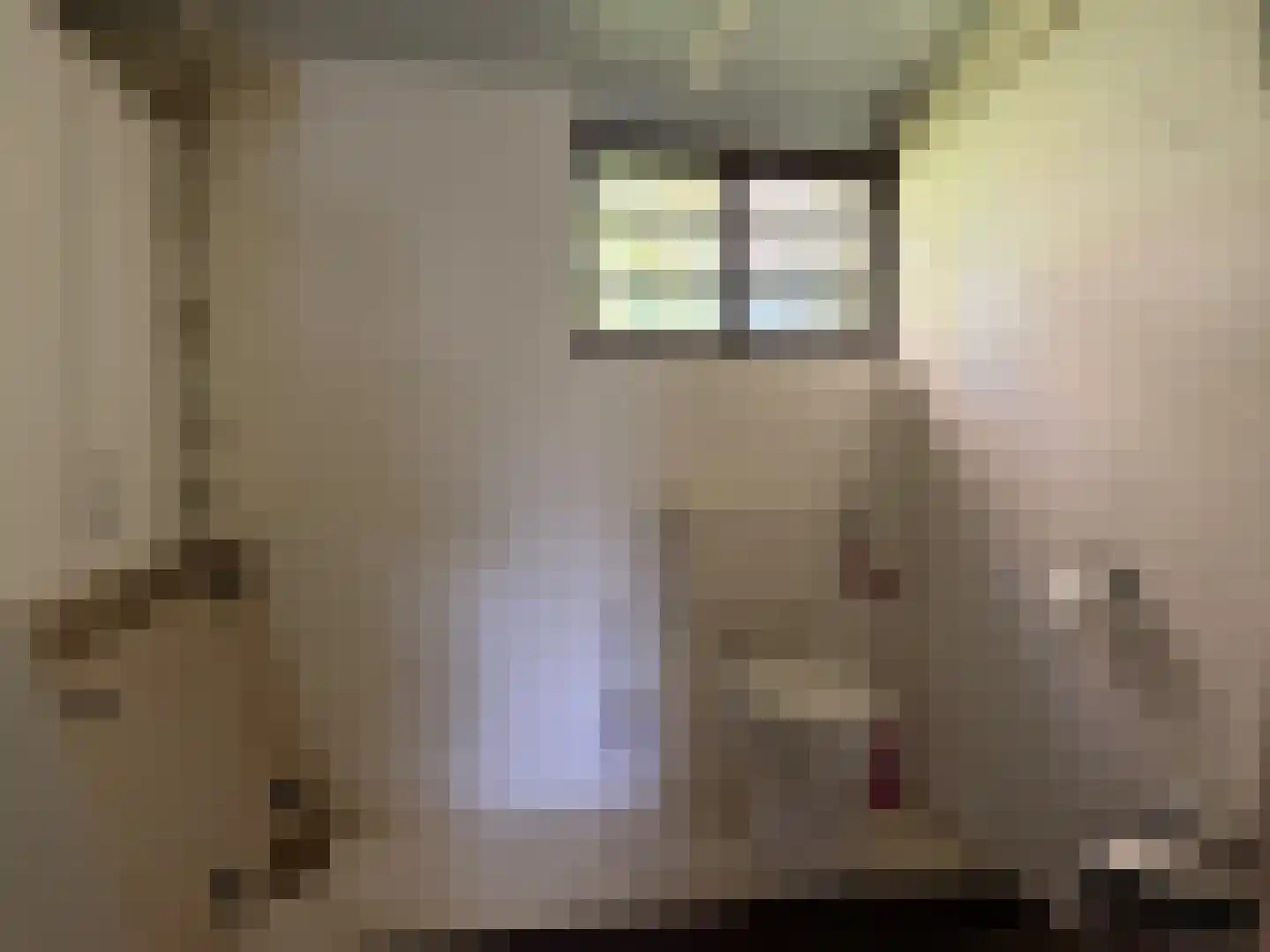 Mooie Vrouwenweg Almelo thumbnail 12