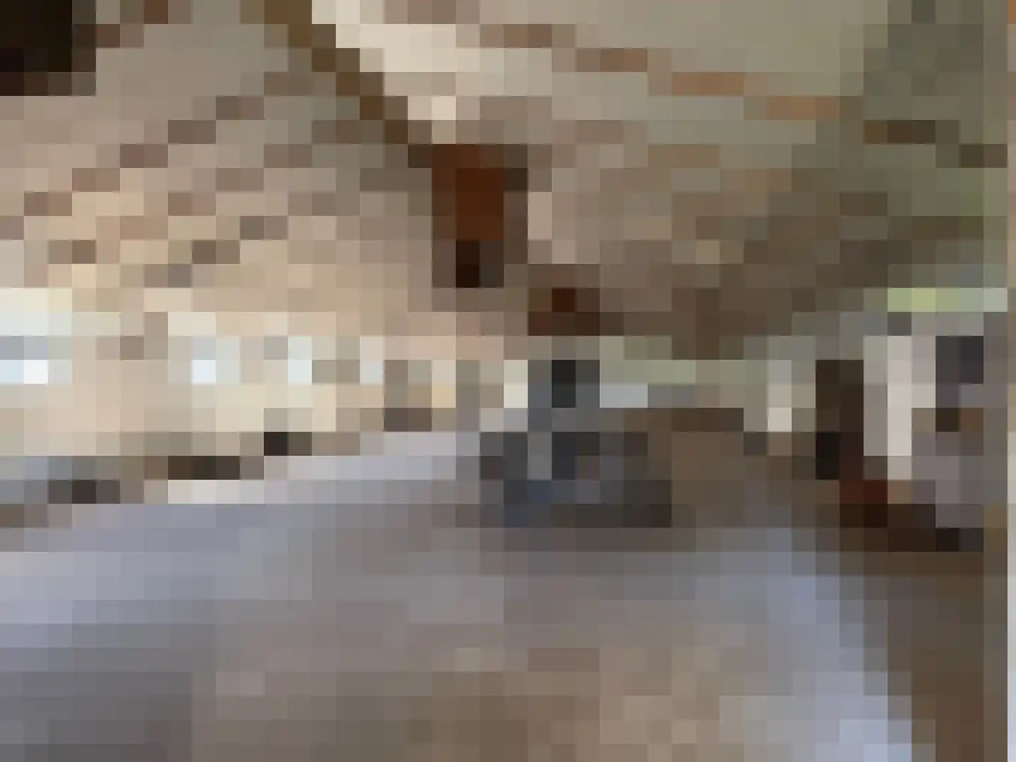 Mooie Vrouwenweg Almelo thumbnail 13