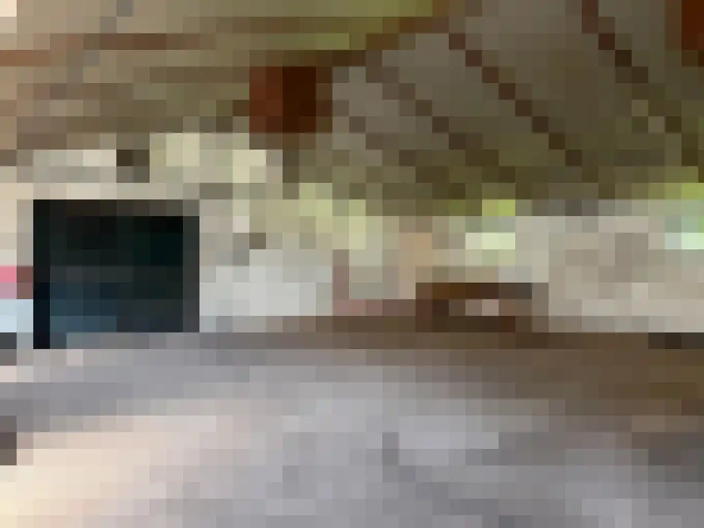 Mooie Vrouwenweg Almelo thumbnail 15
