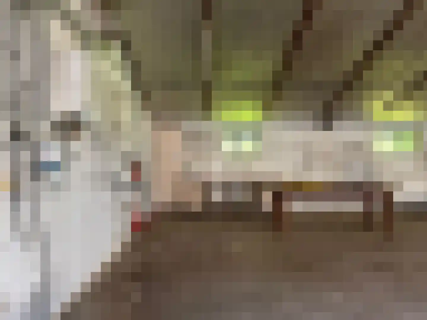 Mooie Vrouwenweg Almelo thumbnail 16