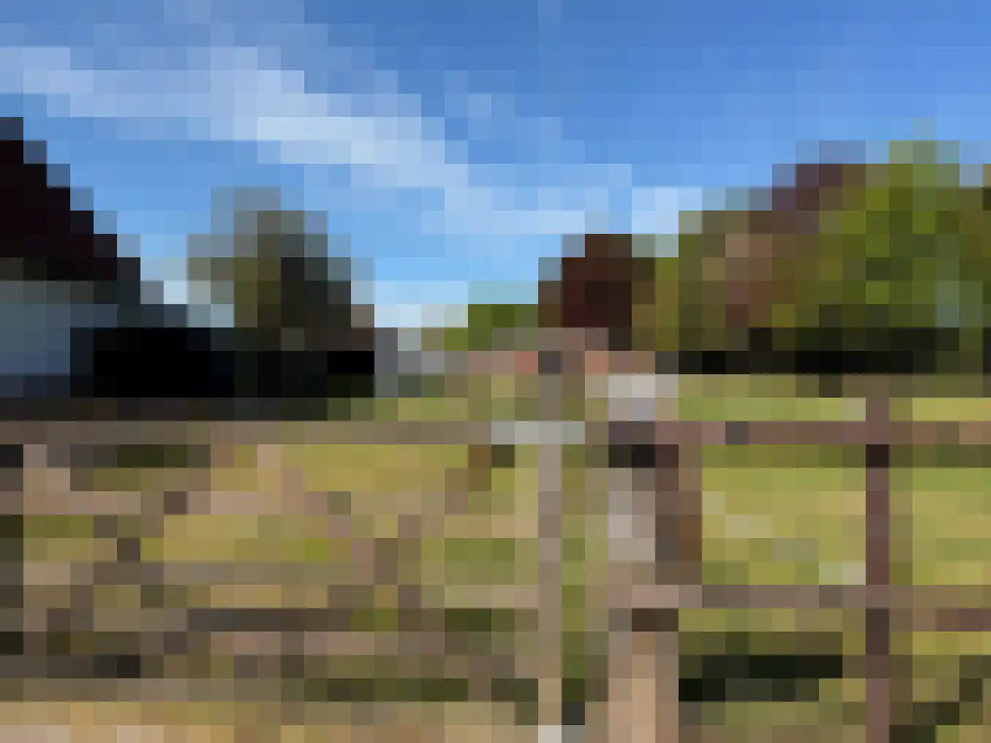 Mooie Vrouwenweg Almelo thumbnail 25