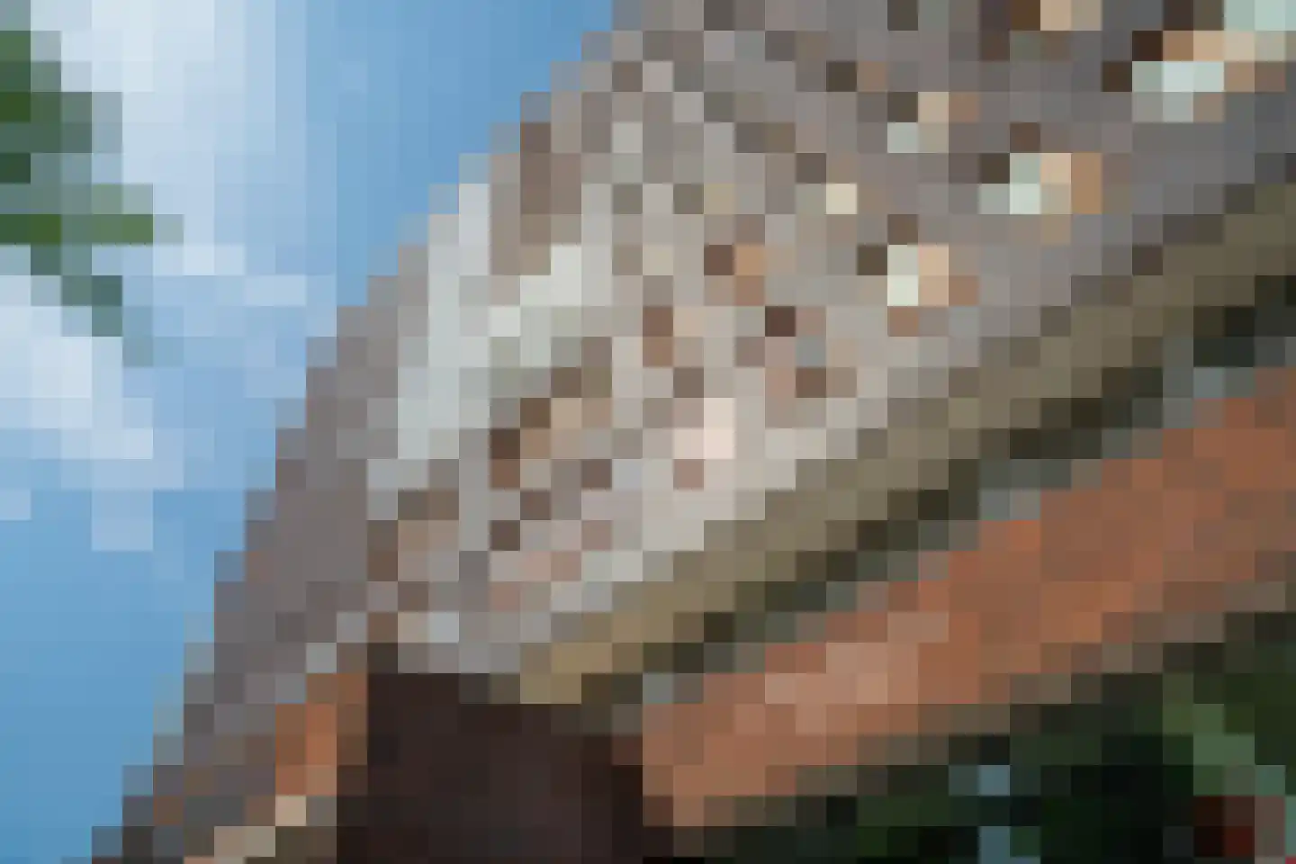 Mooienhof 10 114 Enschede thumbnail 33