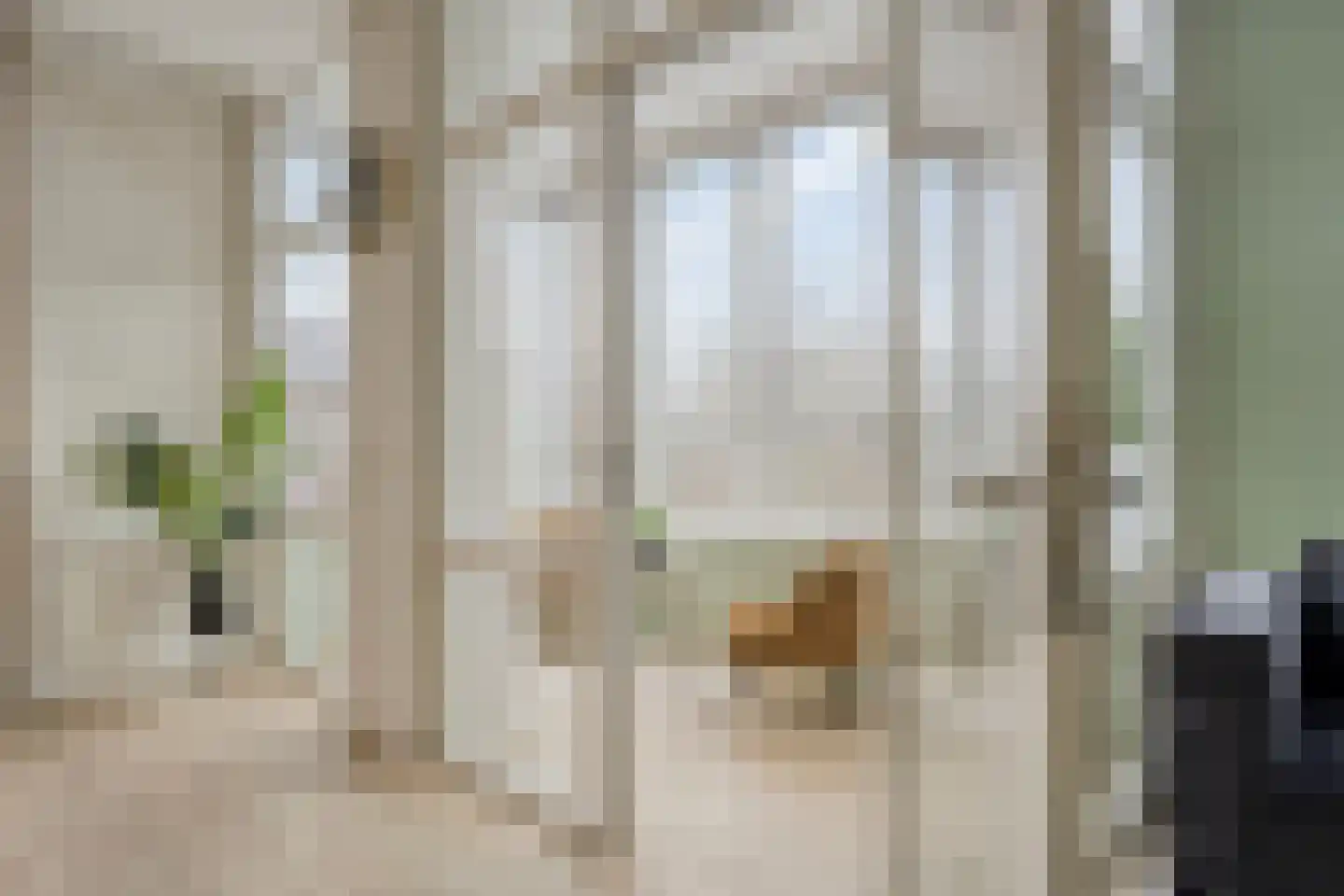 Mooienhof 10 32 Enschede thumbnail 20
