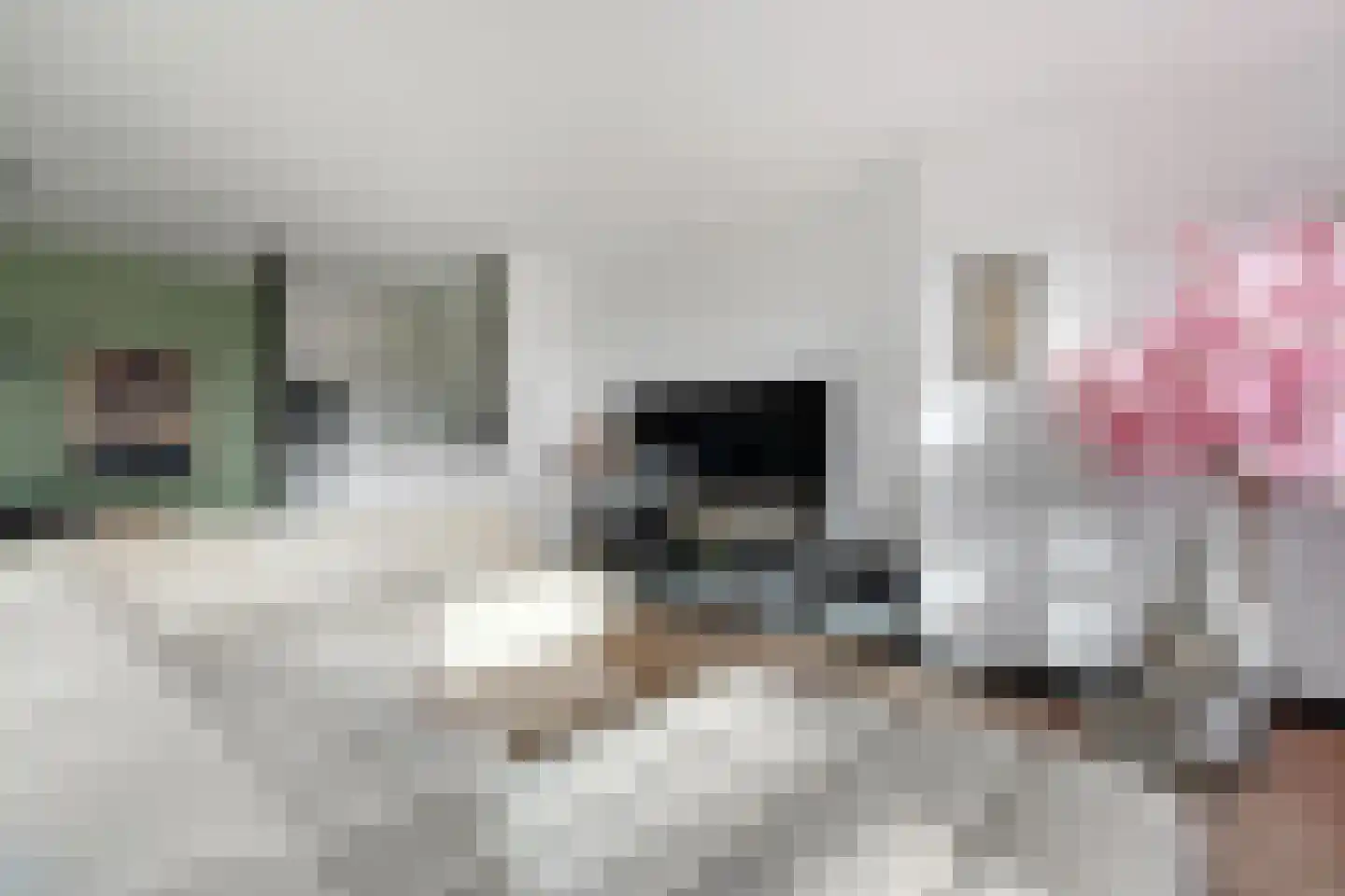 Mooienhof 10 38 Enschede thumbnail 17