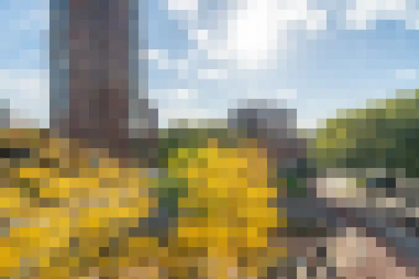 Mooienhof 10 38 Enschede thumbnail 27