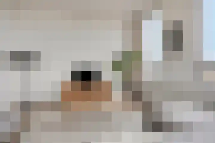 Mooienhof 10 62 Enschede thumbnail 14